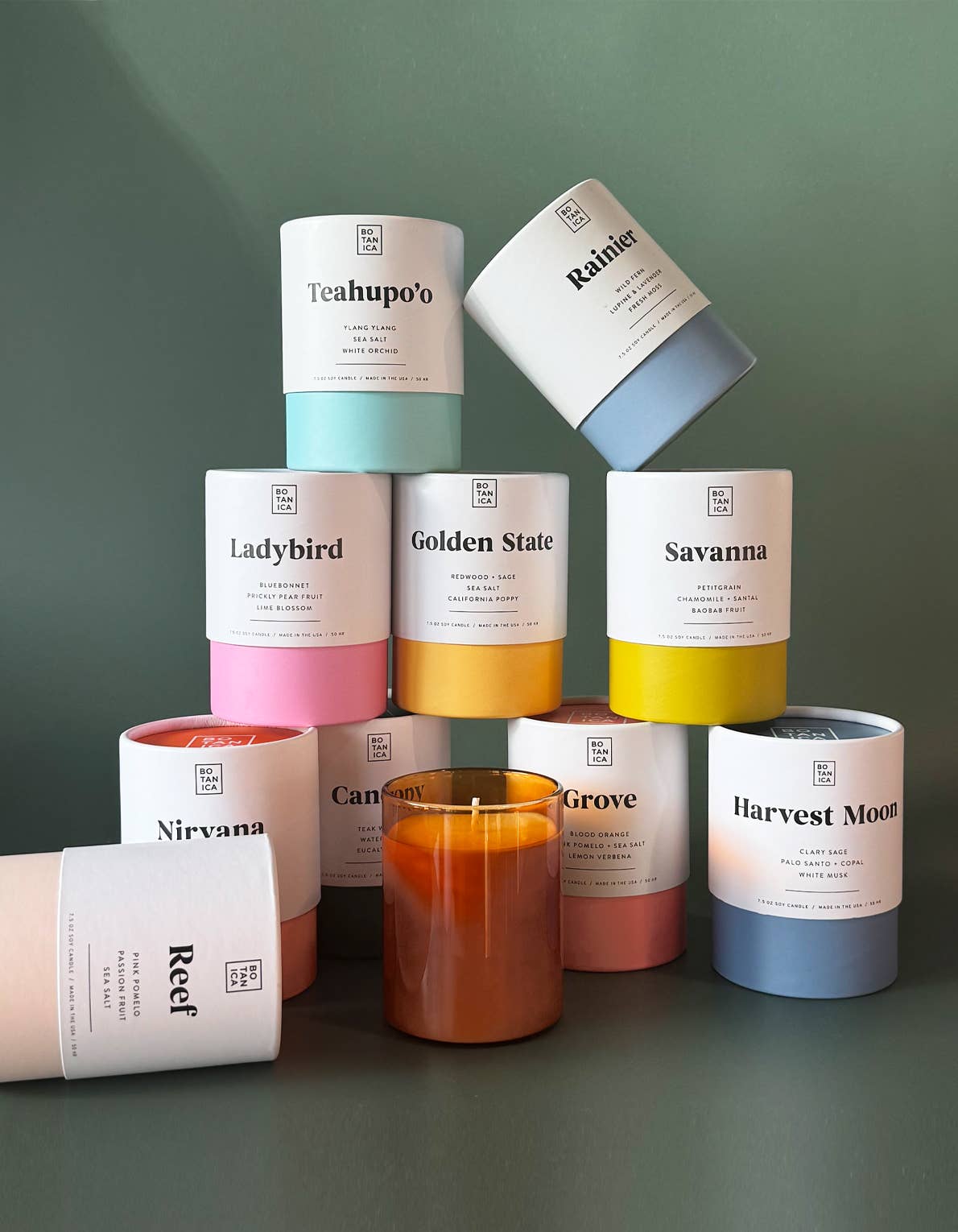 Canopy Medium Candle | 7.5oz