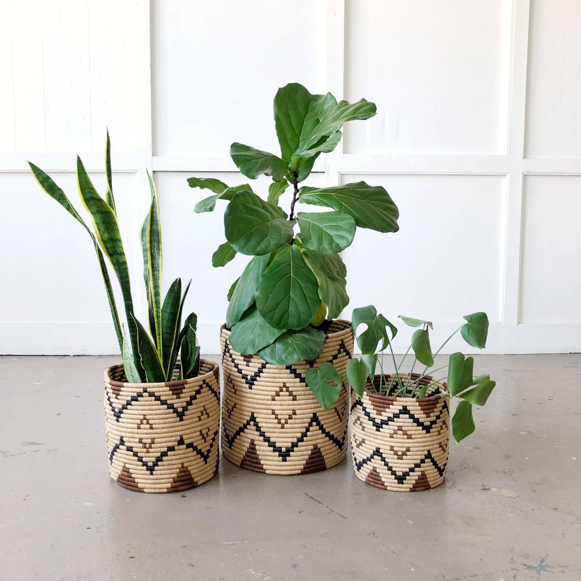 Storage Plant Basket: Ruzizi