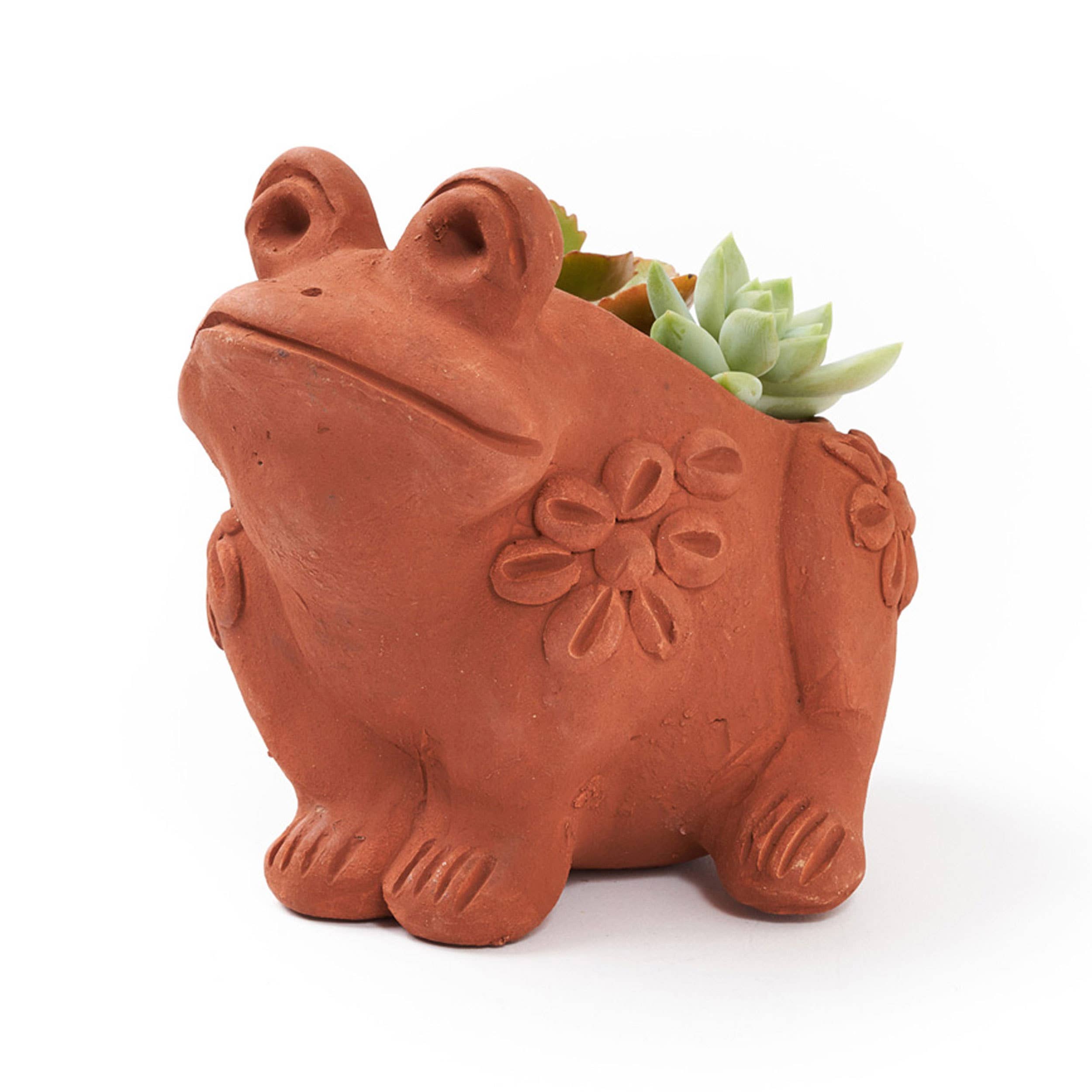 Rakshana Frog Plant Pot - Terracotta