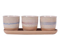 Cannon Drip Set Of 4"Planters W/Tray