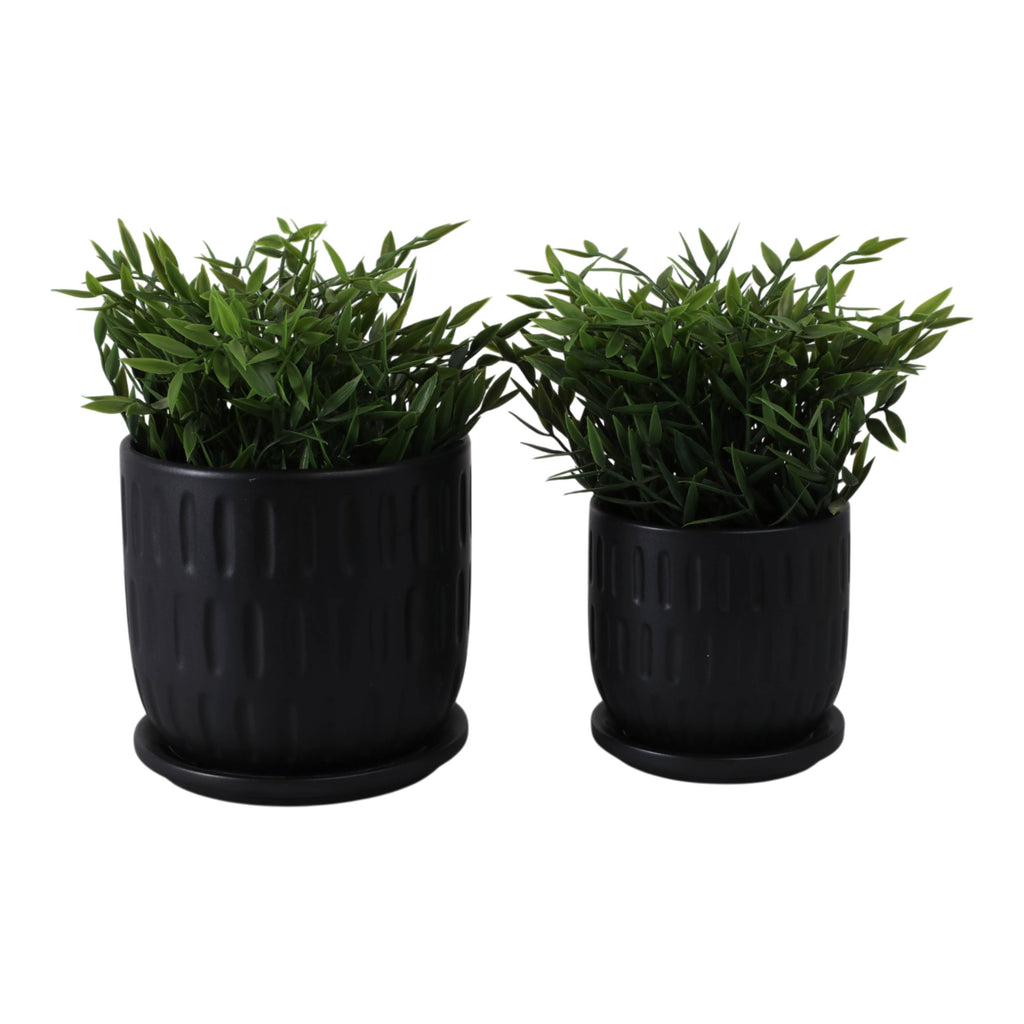 Ceramic Textured Saucer Planters - Black