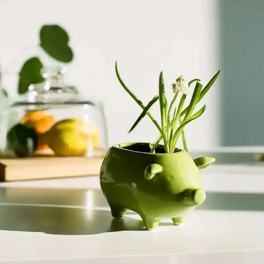 Pig Planter - Ceramic Animal Succulent Pot 3in 2 Colors