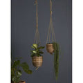 Lomita Hanging Pot