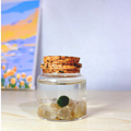 Small Marimo Moss Ball Terrarium with Golden Quartz Stones