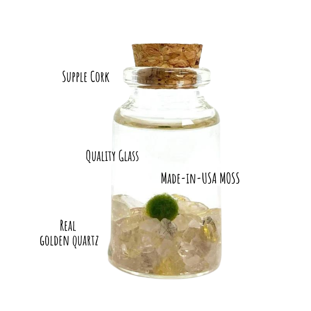 Tiny Marimo Moss Ball Terrarium with Golden Quartz Gemstones