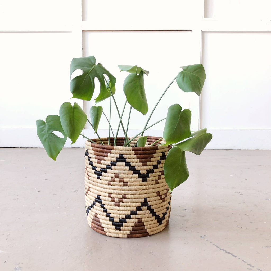 Storage Plant Basket: Ruzizi