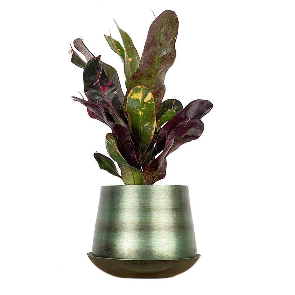 Metal Two Tone Pot - Joe Drainage 3.5-5in 8 Colors