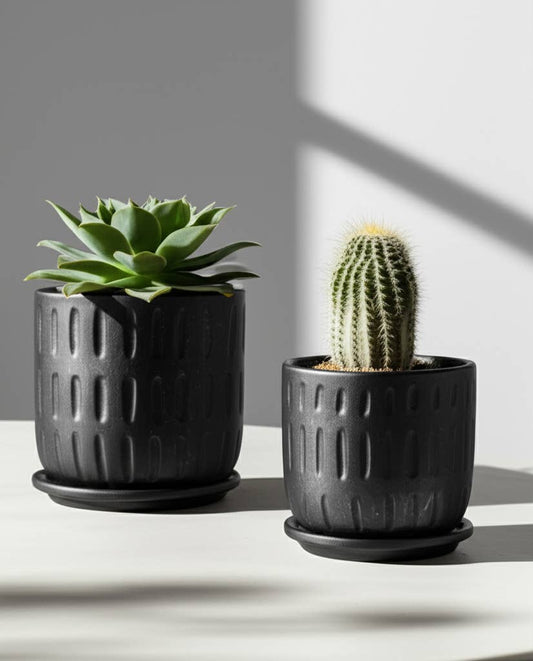 Ceramic Textured Saucer Planters - Black