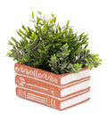 Vasanta Books Planter - Terracotta