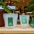 Clear Nursery Pots