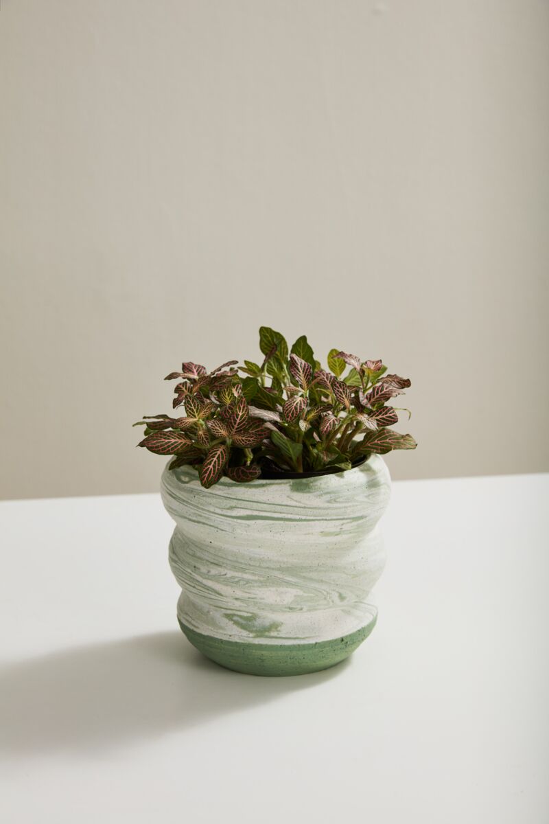 Greenway Pot 5”