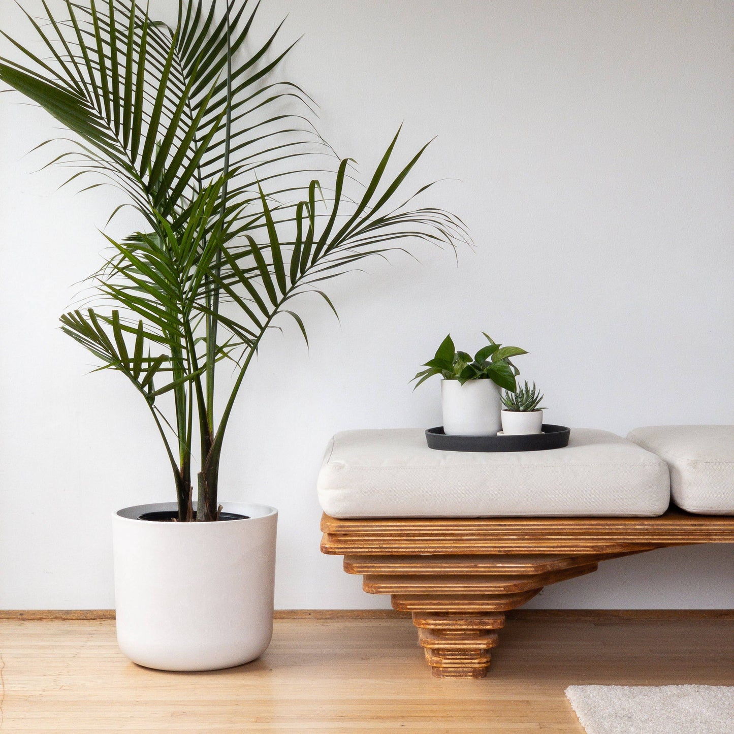 12” | 13" | 16" Signature Stone Planter Pot