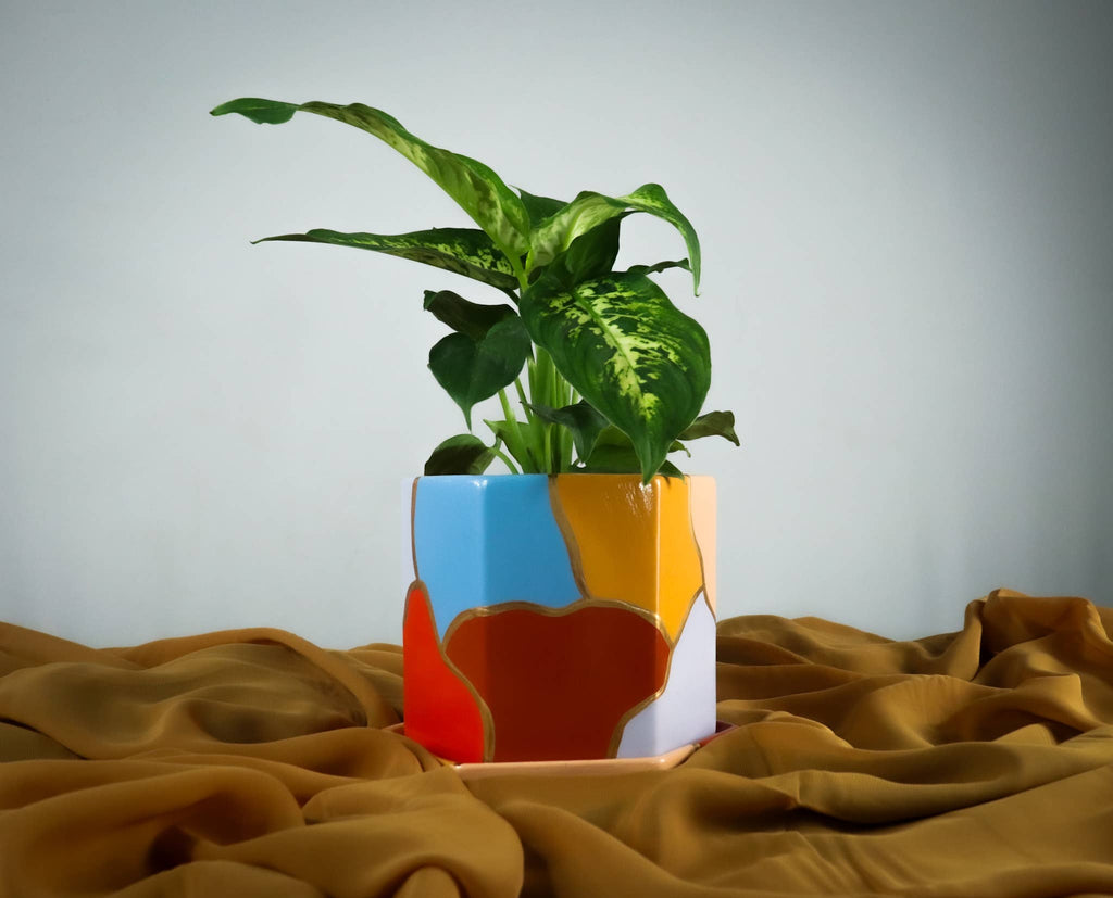 Hexagon Planter Pot with Tray | Design: Jordan