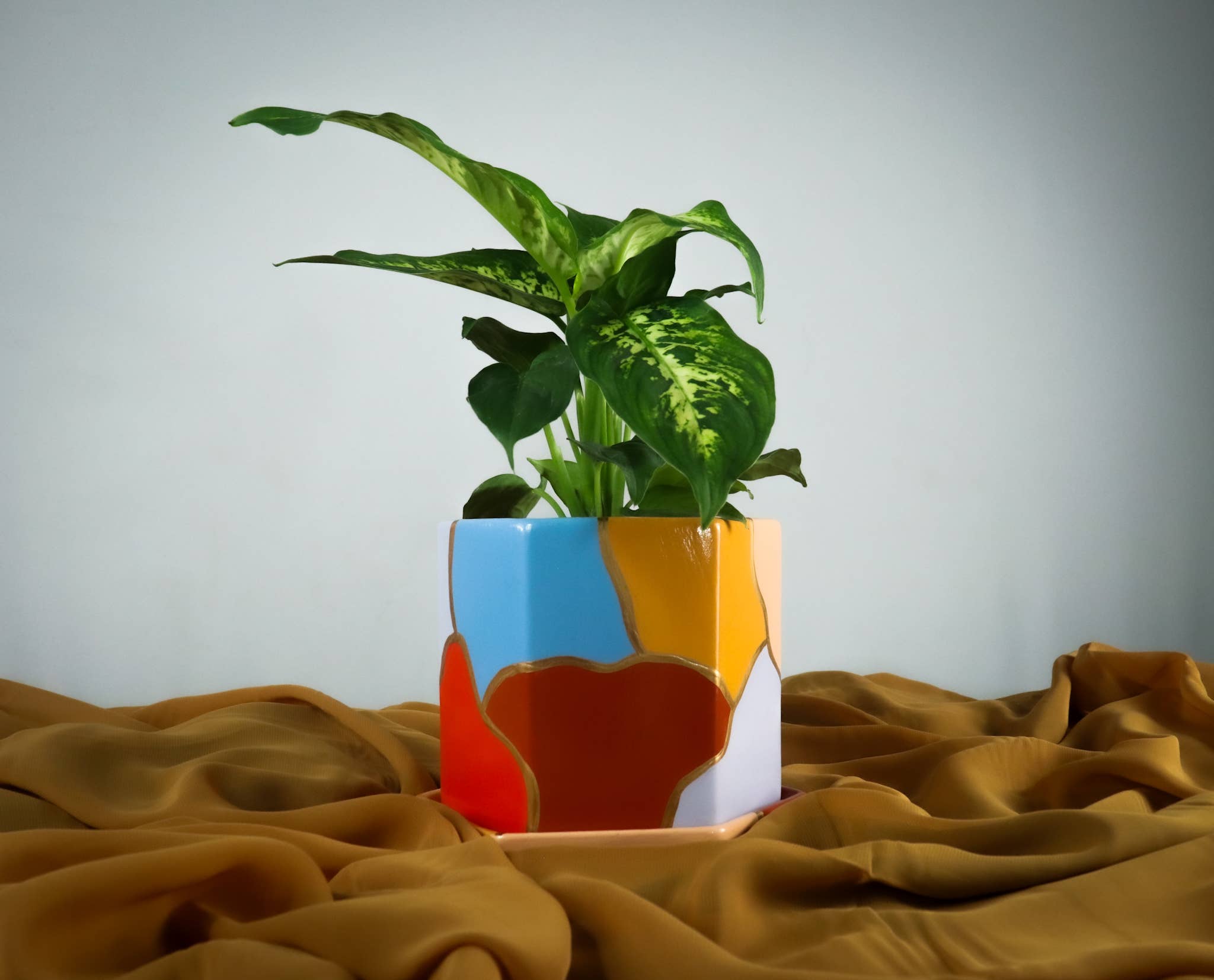 Hexagon Planter Pot with Tray | Design: Jordan