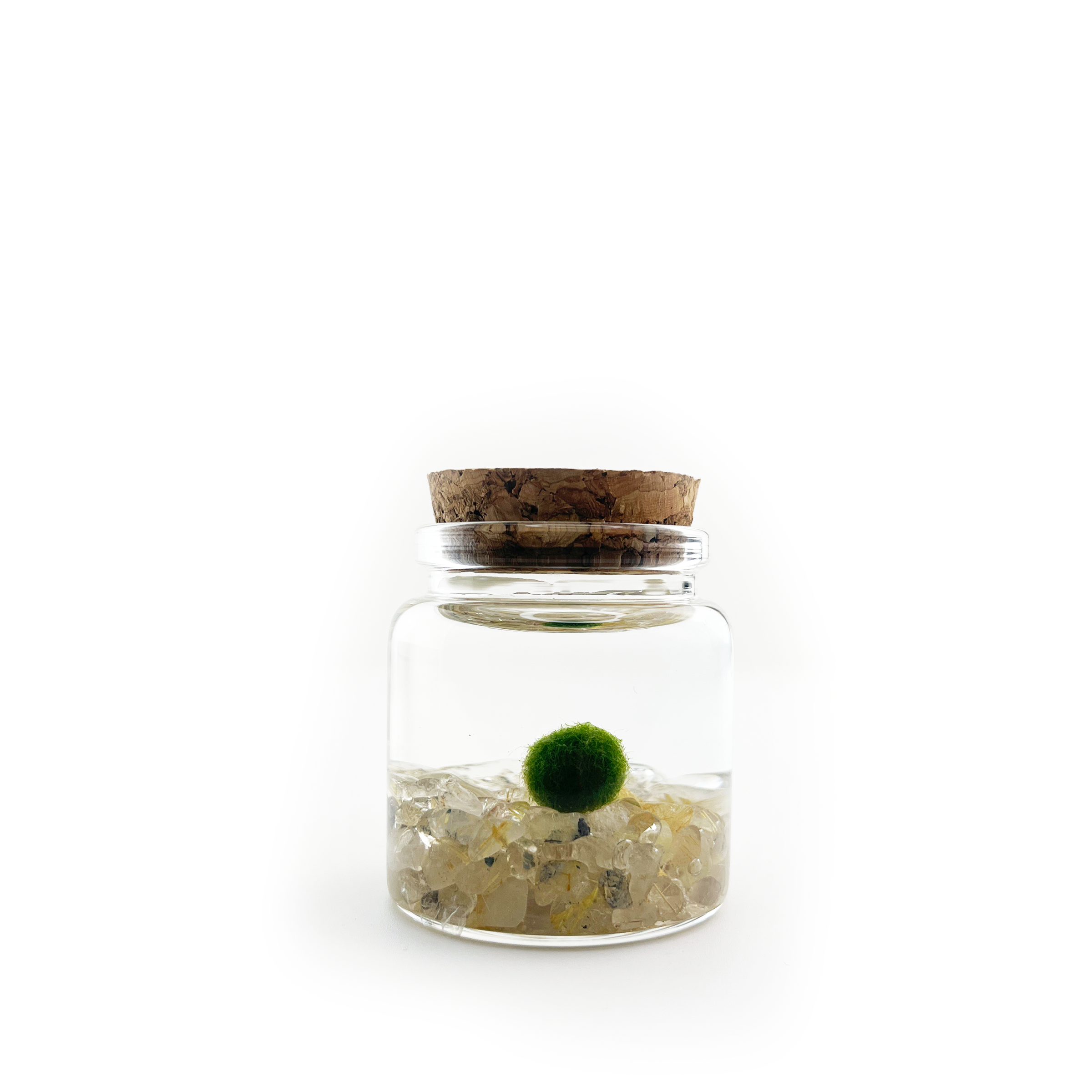 Small Marimo Moss Ball Terrarium with Golden Quartz Stones