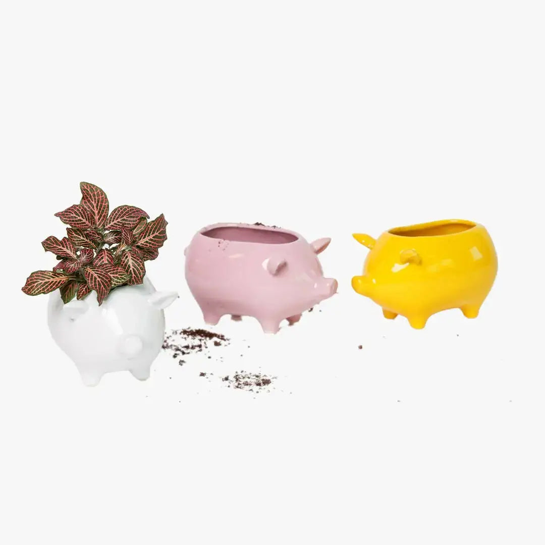 Pig Planter - Ceramic Animal Succulent Pot 3in 2 Colors