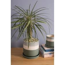 Greer Pot