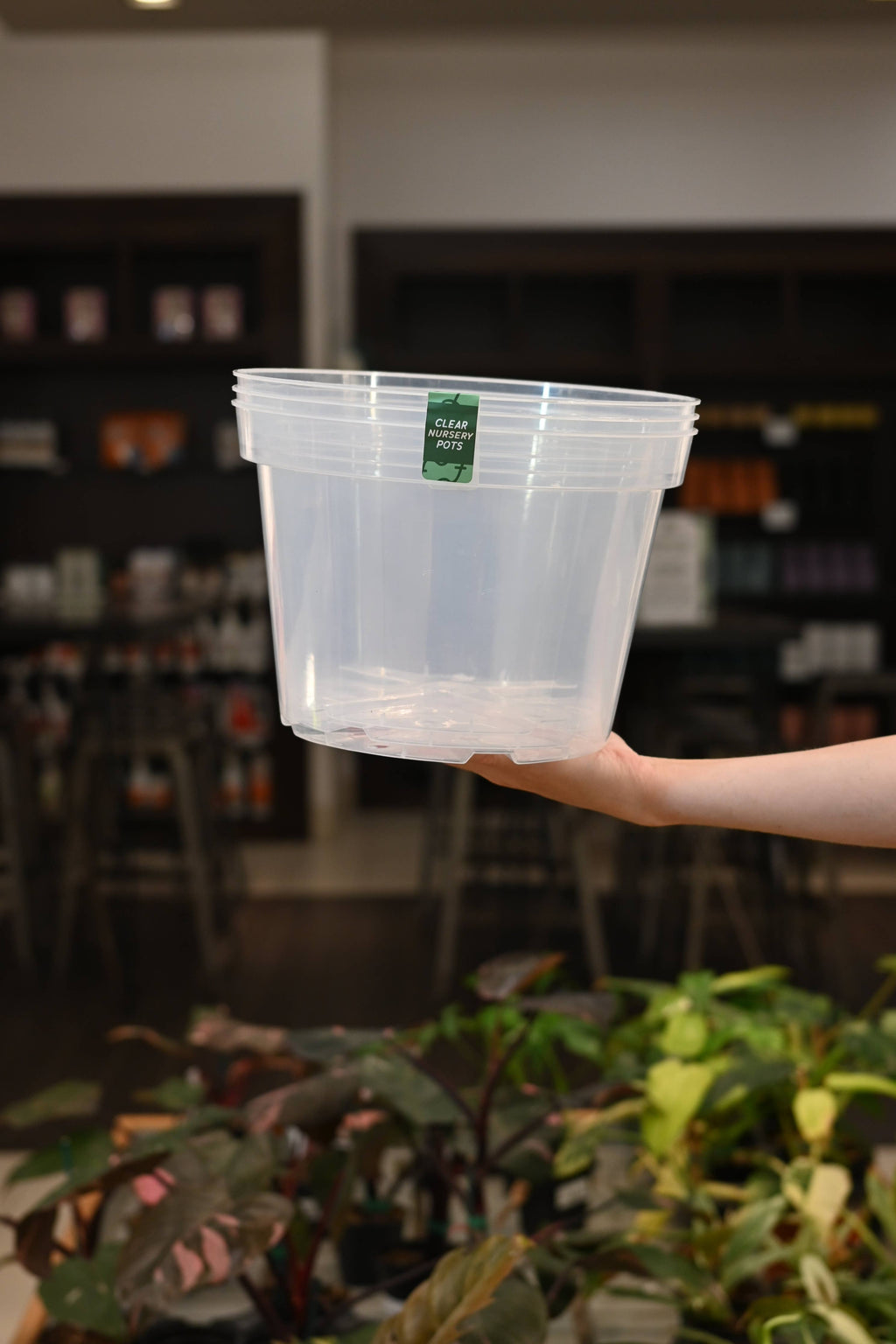 Clear Nursery Pots
