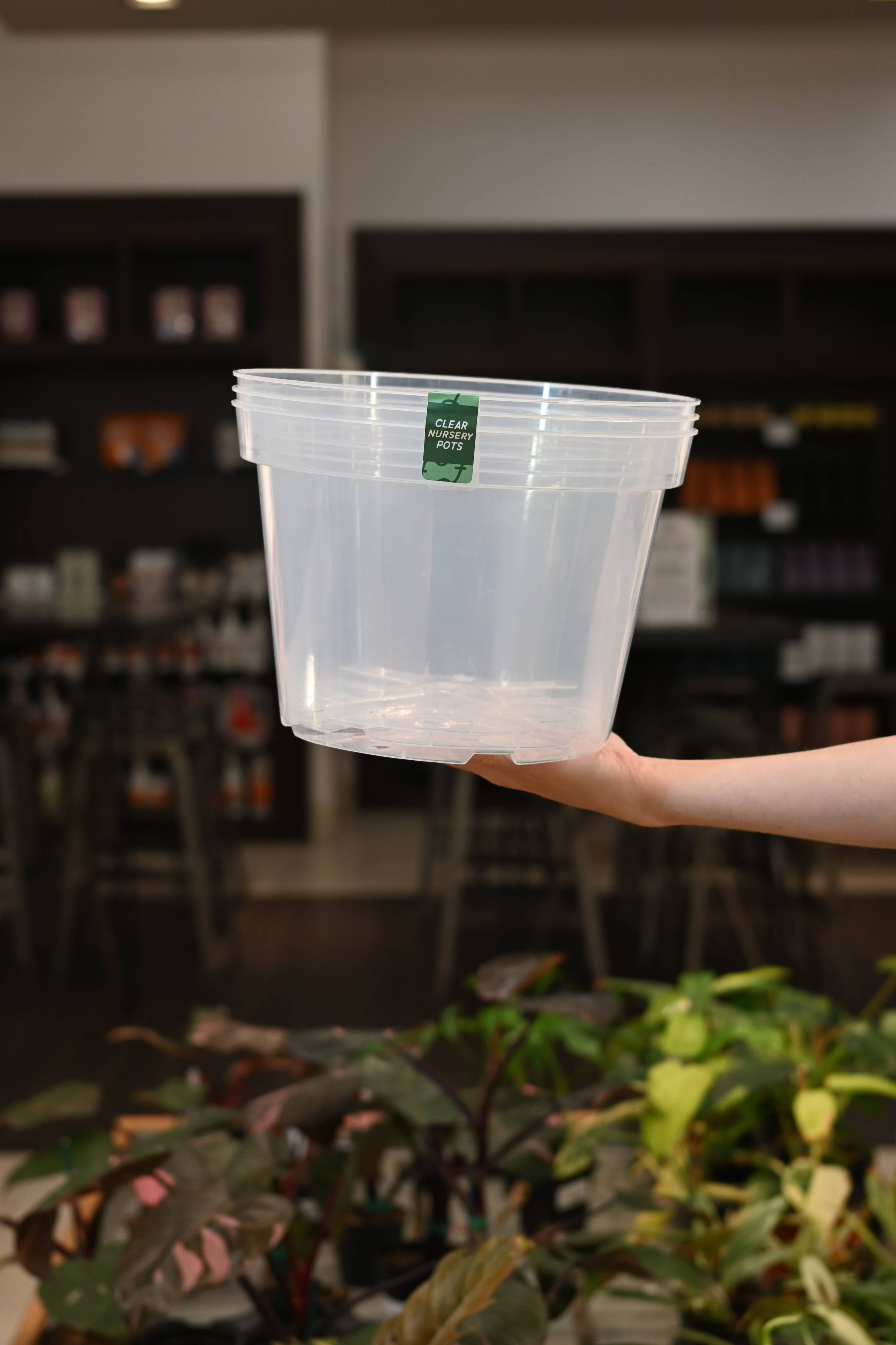 Clear Nursery Pots