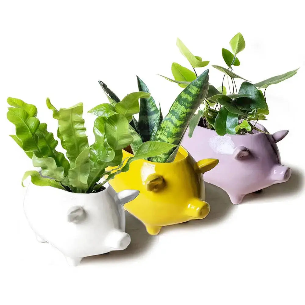 Pig Planter - Ceramic Animal Succulent Pot 3in 2 Colors