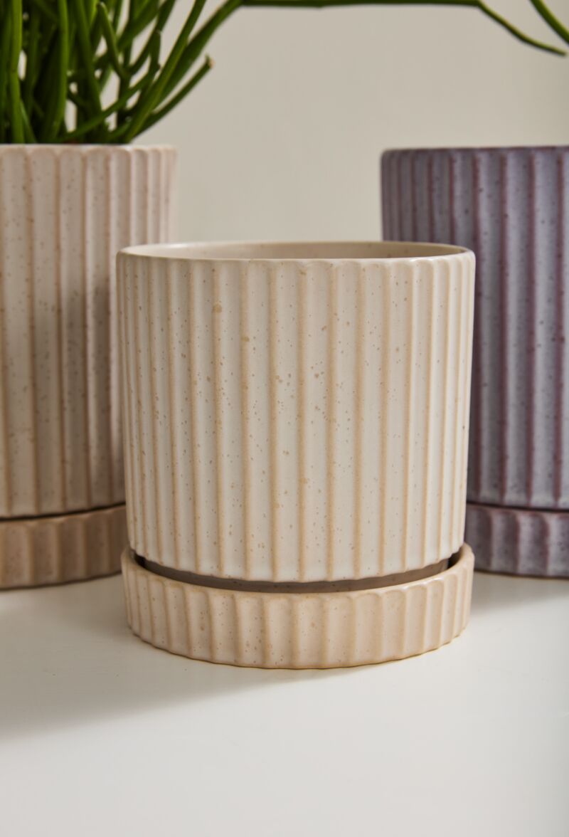 Los Feliz Pot with Saucer 5”