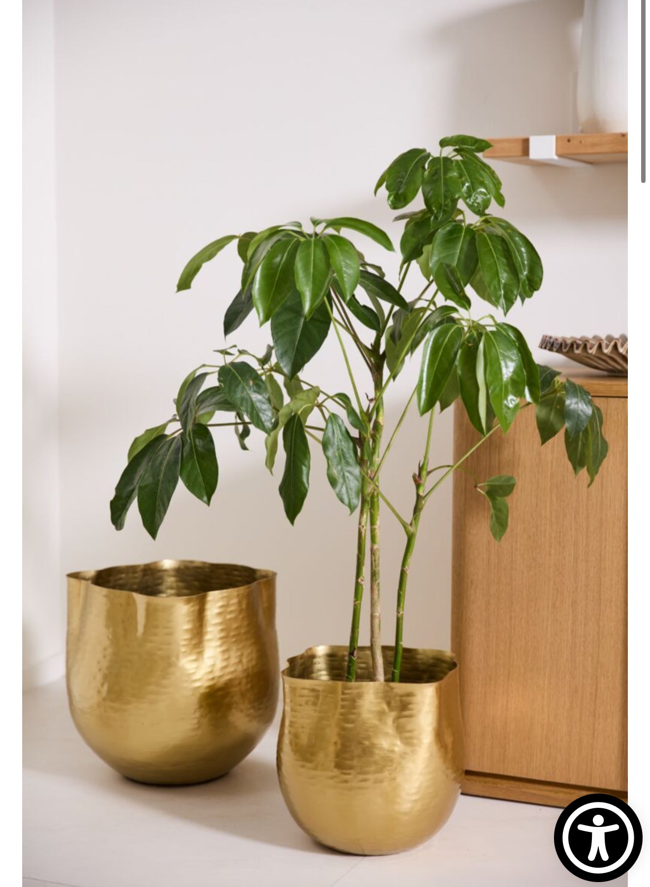 Novella Pot