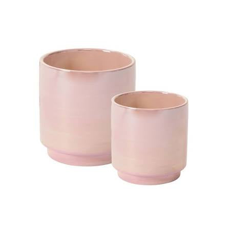 Passion Pot 5”