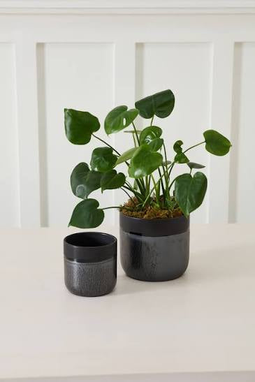 Lennon pot