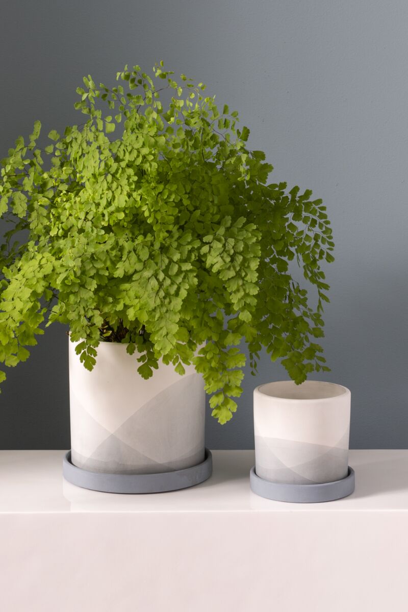 Keppel Pot with Saucer 5.25”
