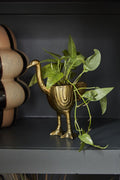 Ostrich Pot 3.5”