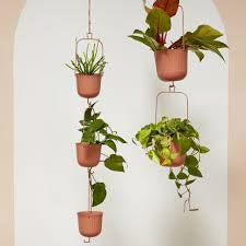 Gemini hanging