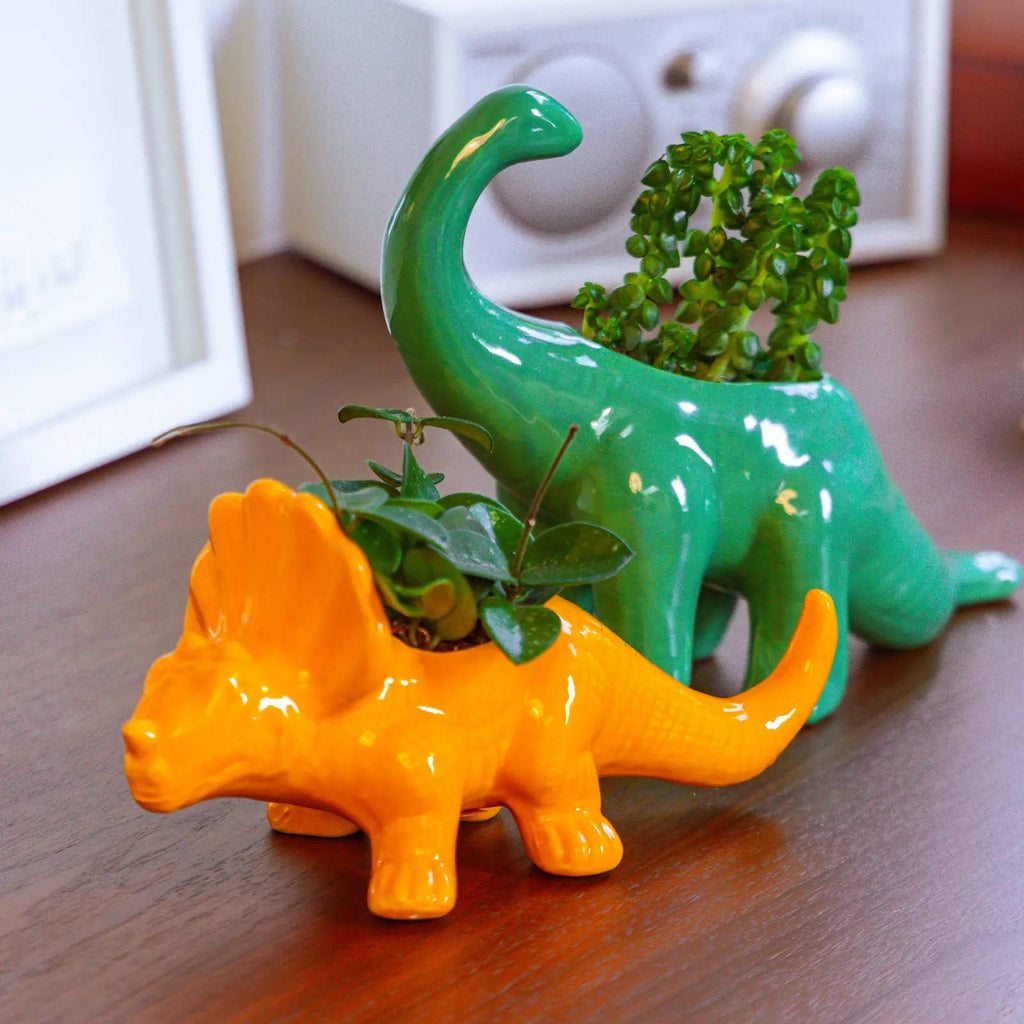 Dinosaur Ceramic Indoor Plant Pot Kits
