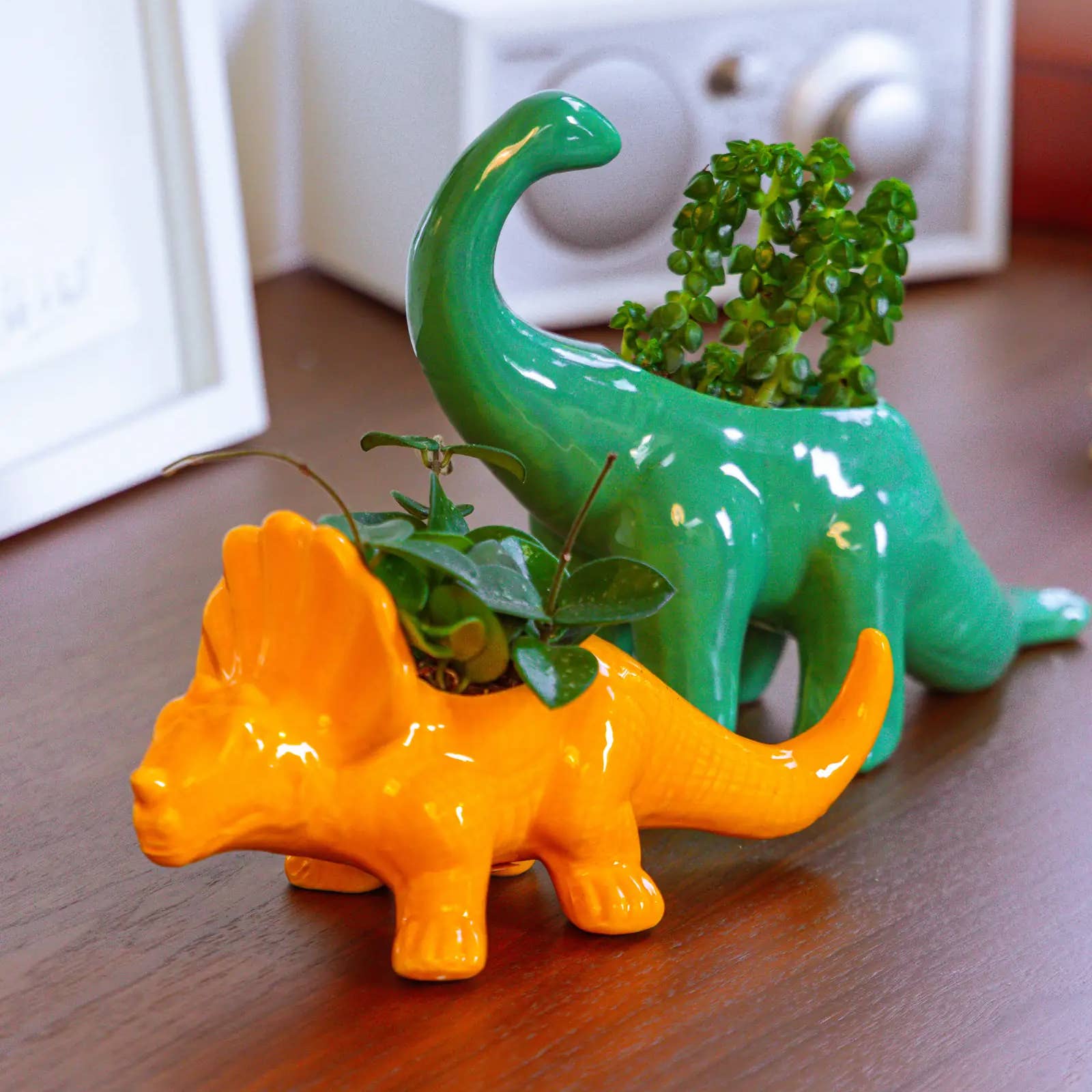Dinosaur Ceramic Indoor Plant Pot Kits