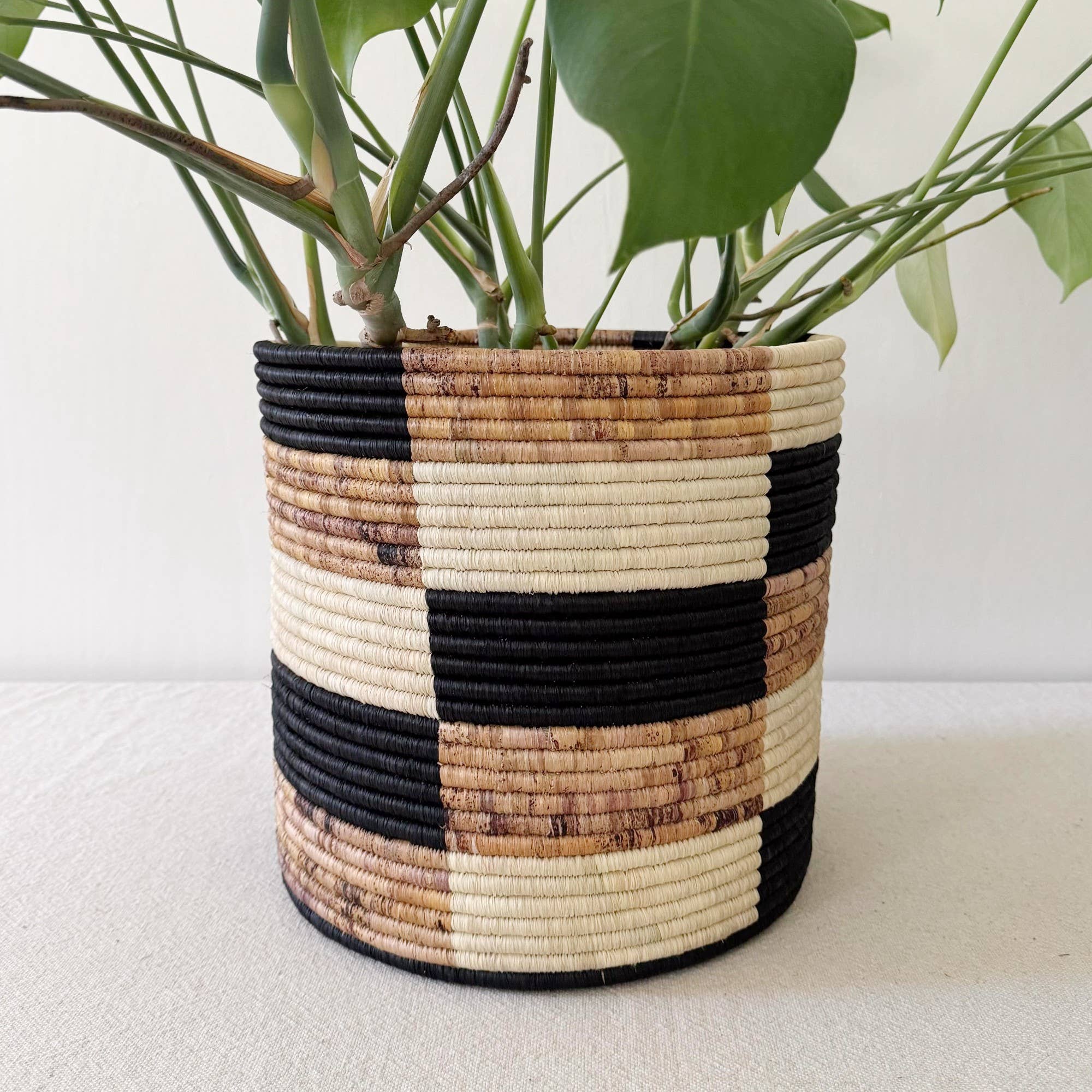 Storage Plant Basket: Zindiro