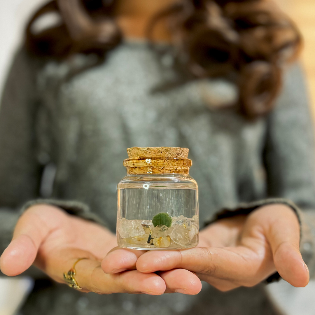 Small Marimo Moss Ball Terrarium with Golden Quartz Stones