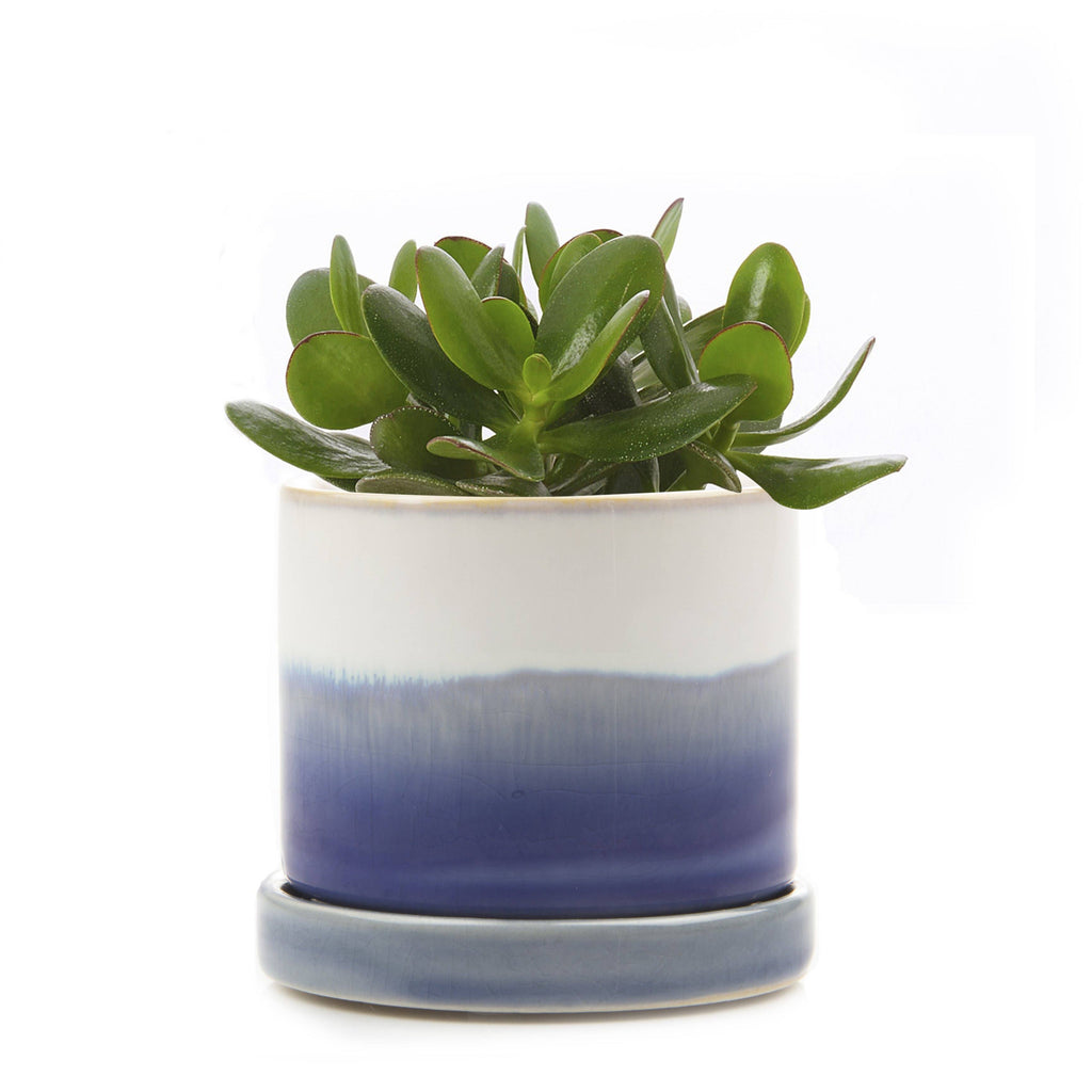 Ceramic Pot With Drainage Hole - Minute 2 Sizes 16 Colors