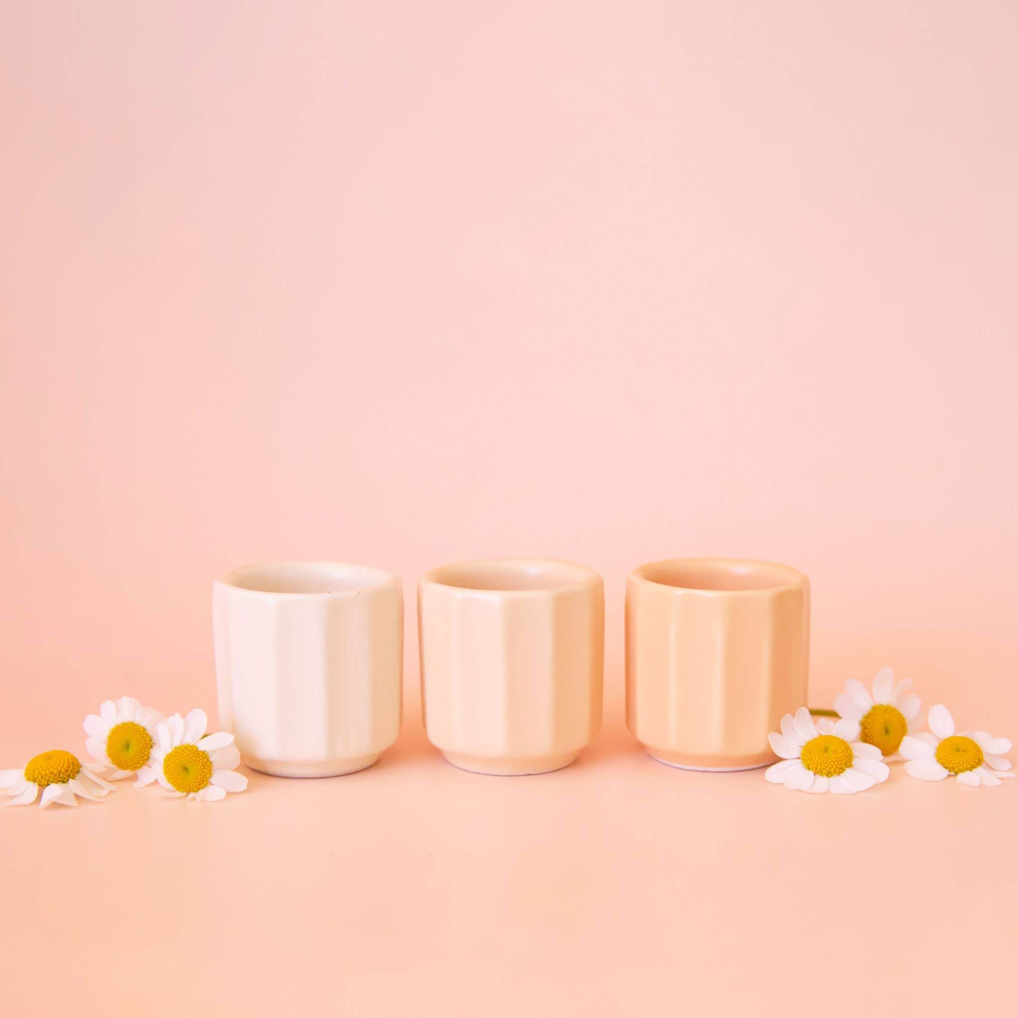 Mini Monroe Planter