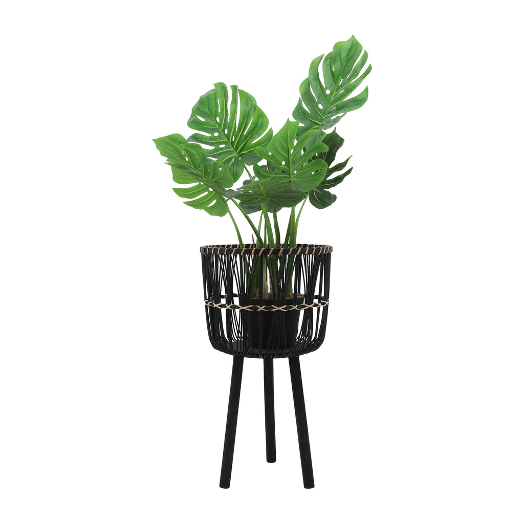 Bamboo Tripod Base Planters