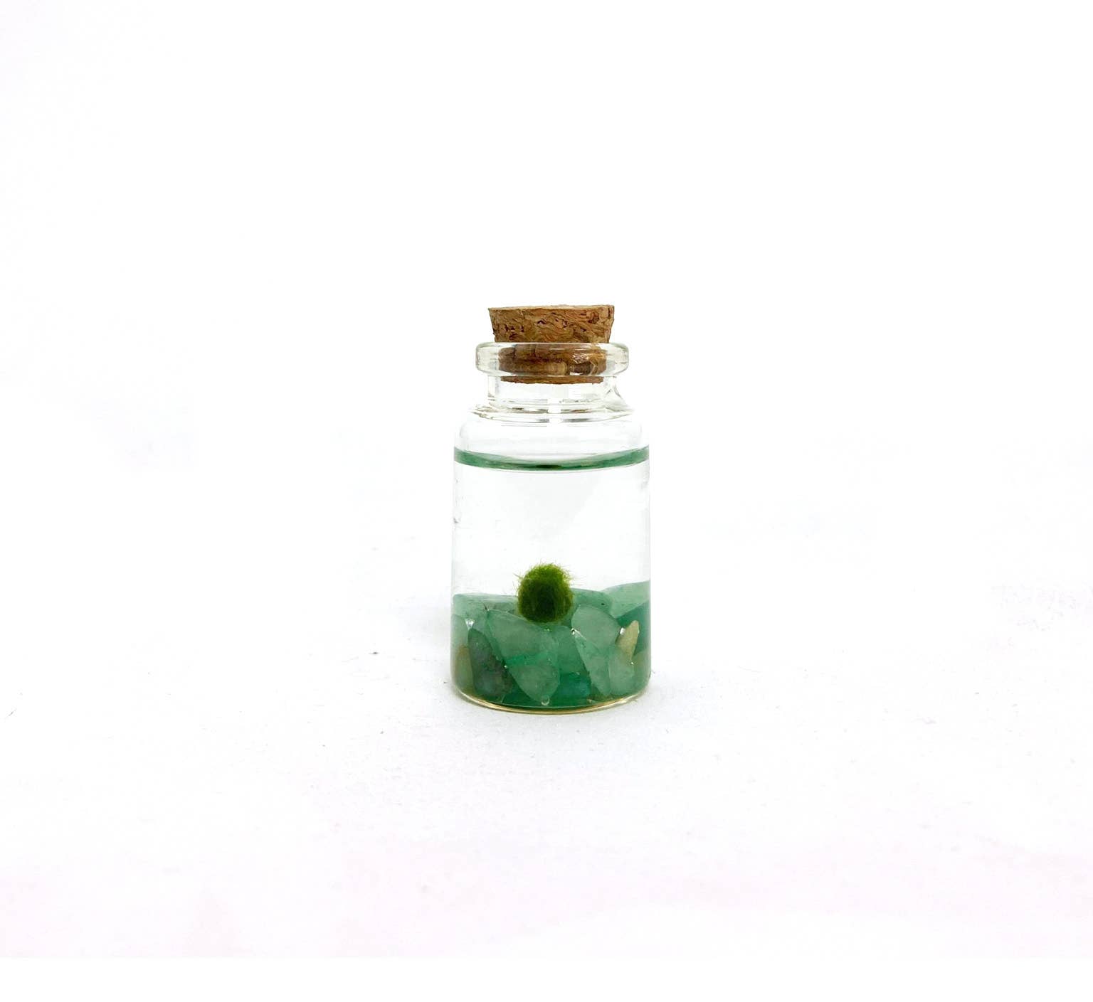 Tiny Marimo Moss Ball Terrarium with Aventurine Gemstones