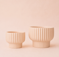 Presley Pedestal Planter | Ballerina