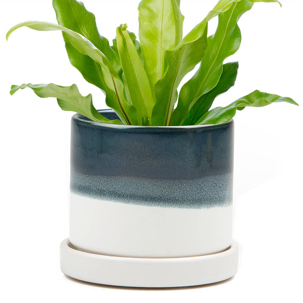 Ceramic Pot With Drainage Hole - Minute 2 Sizes 16 Colors