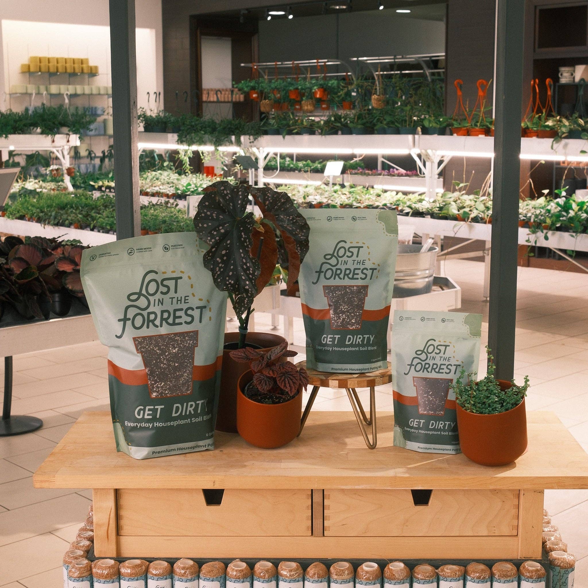 Get Dirty | Everyday Houseplant Soil Blend