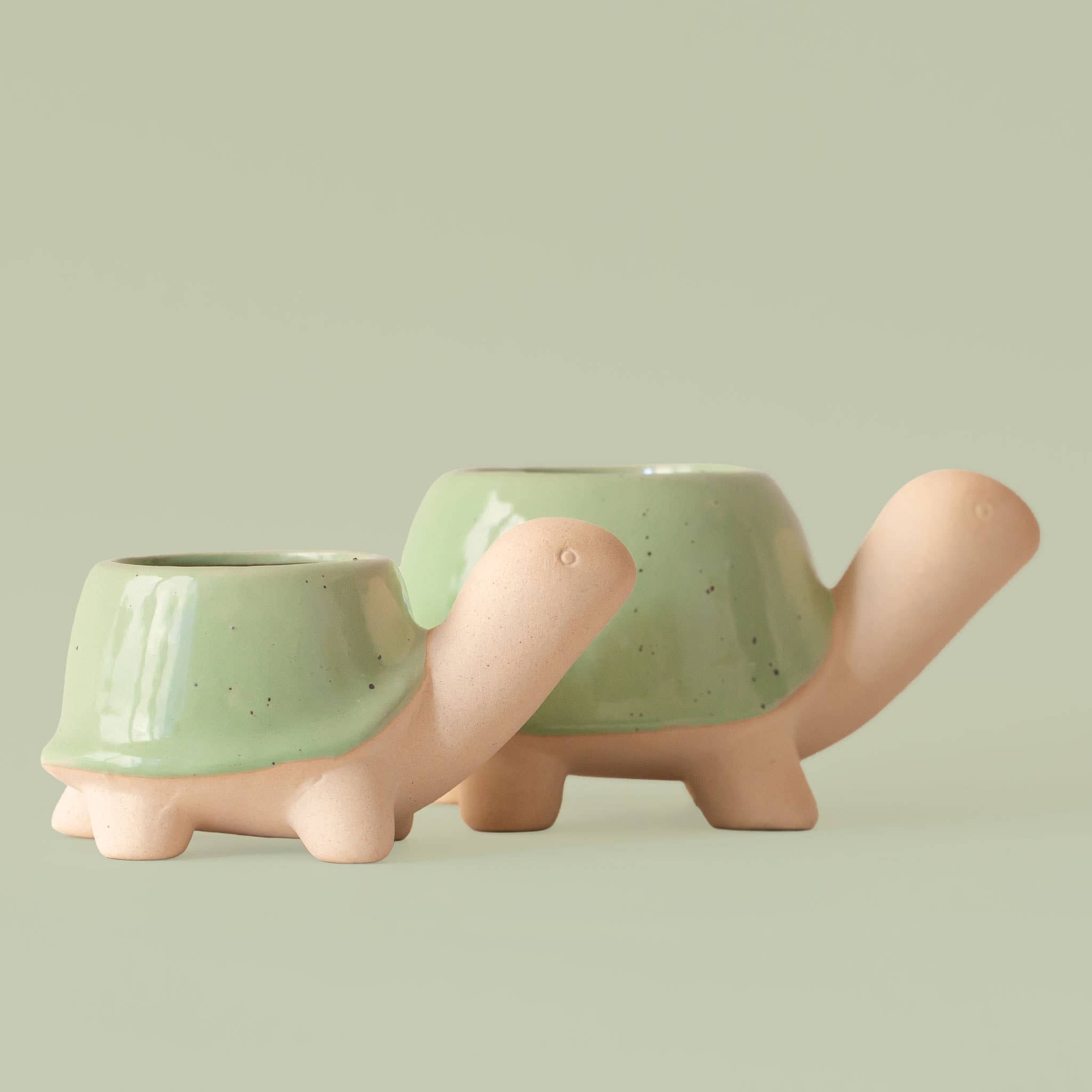 Turtle Planter | *NEW* Speckle Glazed Shell