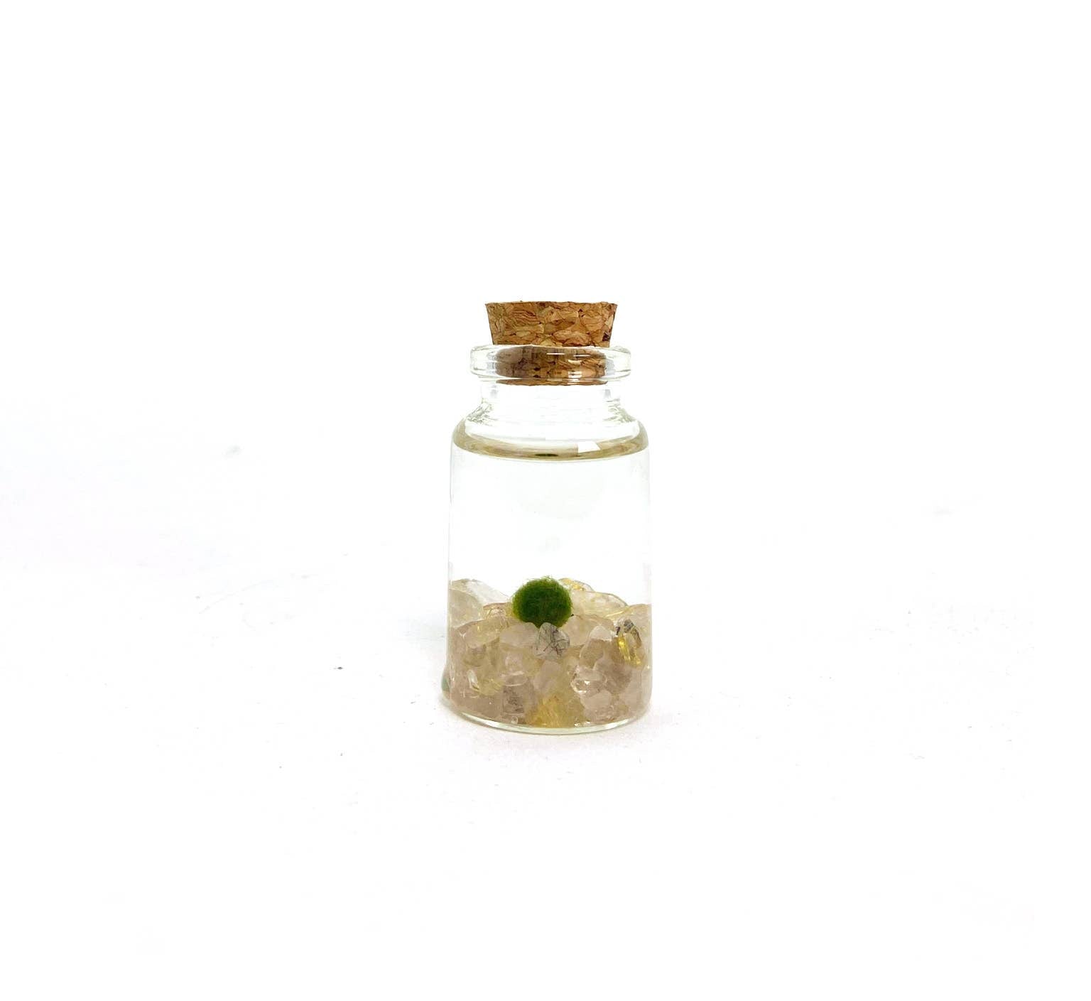 Tiny Marimo Moss Ball Terrarium with Golden Quartz Gemstones