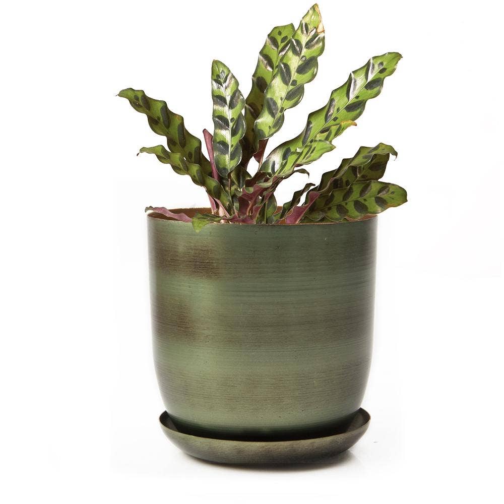 Metal Two Tone Pot - Joe Drainage 3.5-5in 8 Colors