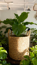 XXL Large Planter w/Handle (16",14",12",10",8",6",4")