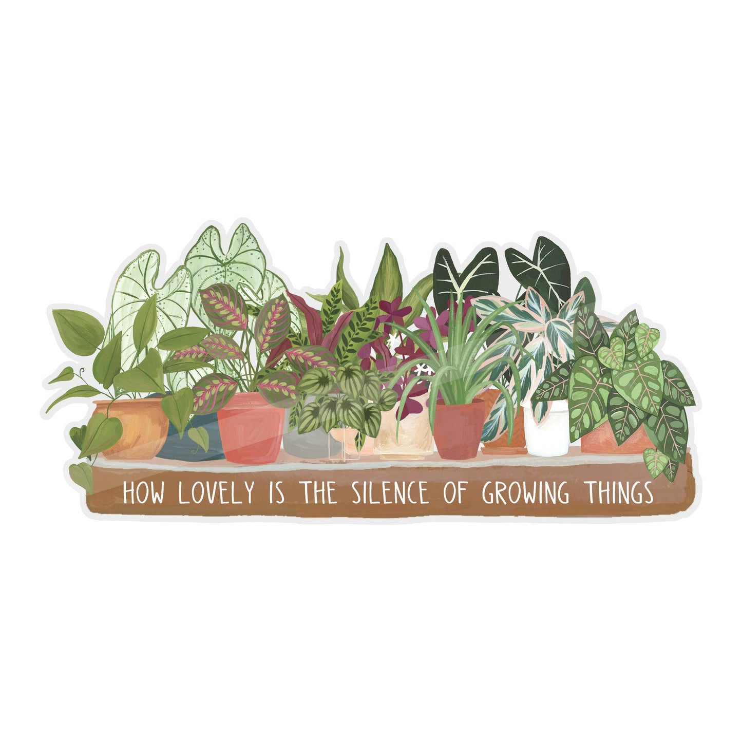 Houseplants Clear Decal Sticker
