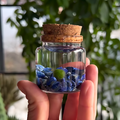Small Marimo Moss Ball Terrarium with Lapis Lazuli Gemstones