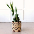Storage Plant Basket: Ruzizi