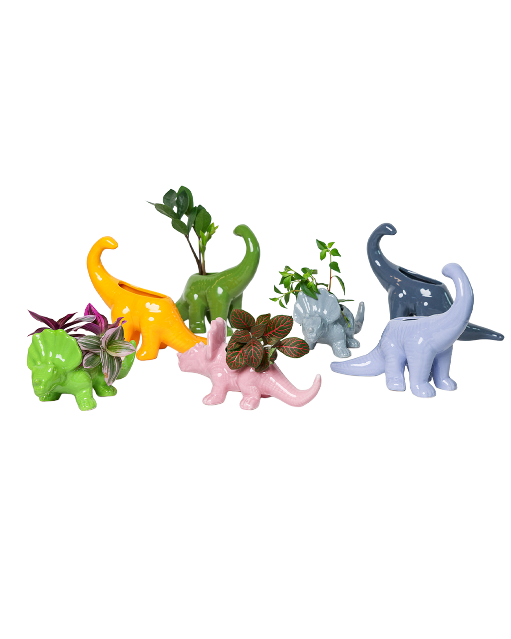Dinosaur Ceramic Indoor Plant Pot Kits